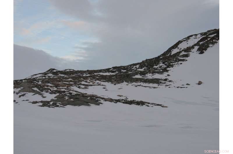 Antarctic Microbes Harness Hydrogen and CO to Thrive in Thin Air