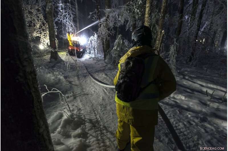 Scientists Investigate How Ice Storms and Climate Change Threaten Forests