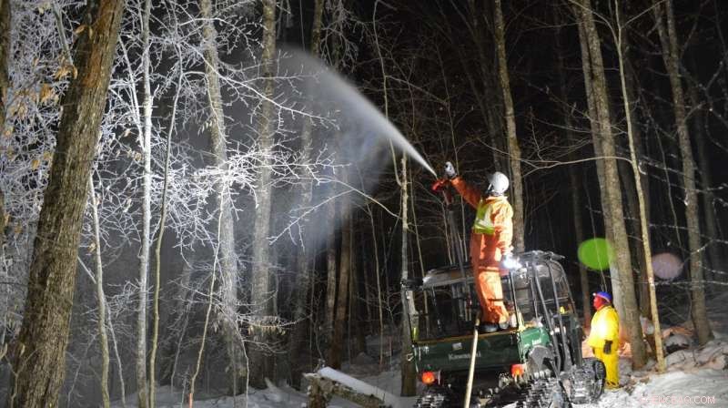 Scientists Investigate How Ice Storms and Climate Change Threaten Forests