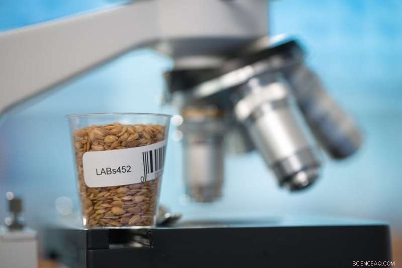 Beyond the Green Revolution: Tackling Africa’s Rising Hunger Crisis