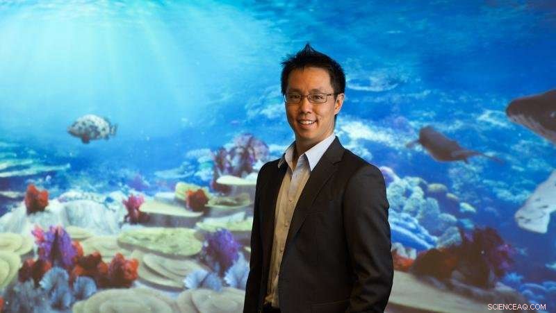 New Research Reveals How to Detect and Mitigate Hidden Risks of Stress Accumulation in Seagrass