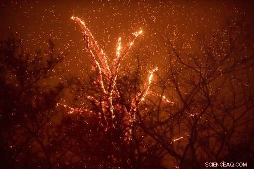 California Alerts 12 Million Residents About Fire Danger via Text Messages