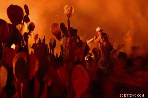 California Alerts 12 Million Residents About Fire Danger via Text Messages