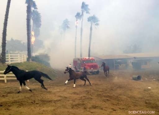 California Wildfire Rips Through Retirement Park, Destroying Mobile Homes