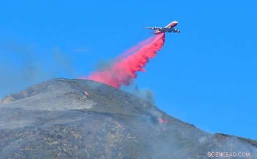 California Seeks Fire Relief as Winds Calm After Devastating Fires
