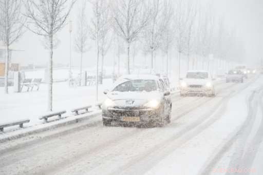 Snowfall Halts Flights and Disrupts Transport at Dutch Airports