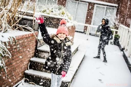 Snowfall Halts Flights and Disrupts Transport at Dutch Airports