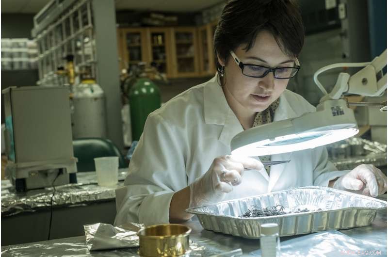 Charcoal Management After the Tri-County Wildfire: Strategies for Sustainable Forest Recovery