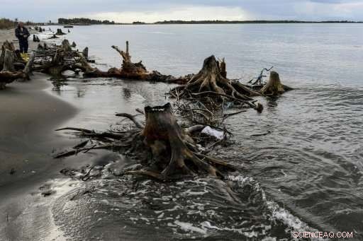 Adriatic Sea Threatens Albania’s Coastline: Environmental Crisis Unfolding