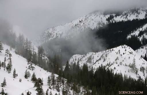 New Study Reveals Sierra Nevada Mountains Rise Nearly an Inch During Drought