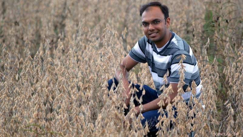 Enhancing Crop Yield Predictions with Satellite Data