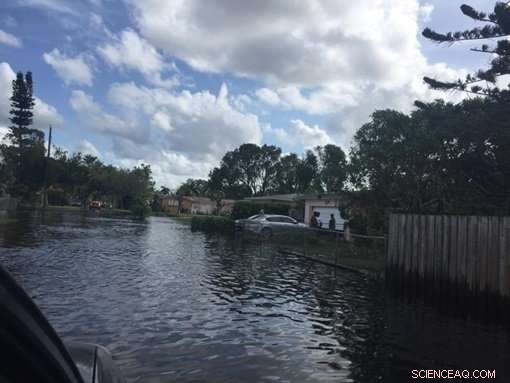 FIU Researcher Uncovers Rising Flood Risk in South Florida