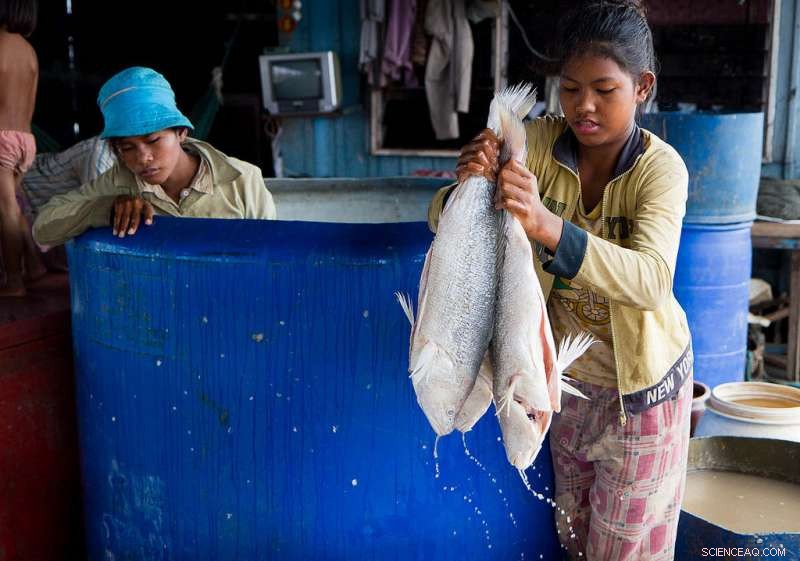 Innovative Project Seeks Sustainable Blueprint for Hydropower Dams