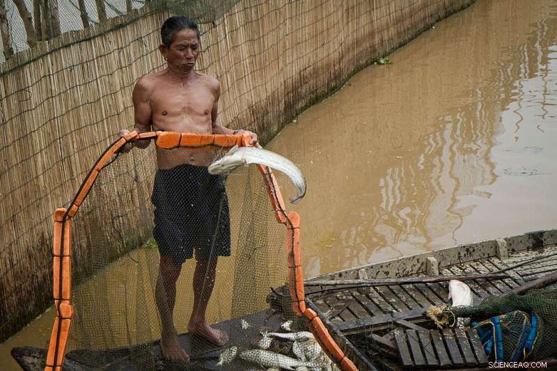 Innovative Project Seeks Sustainable Blueprint for Hydropower Dams