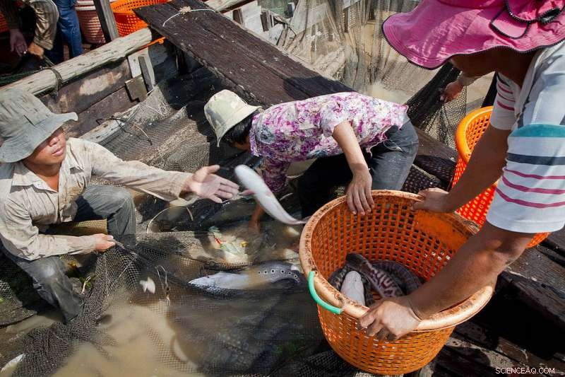 Innovative Project Seeks Sustainable Blueprint for Hydropower Dams