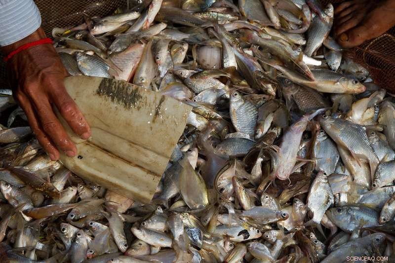 Innovative Project Seeks Sustainable Blueprint for Hydropower Dams