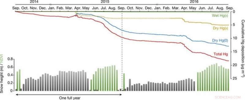 How Industrialized Nations’ Mercury Pollutes the Arctic: The Pathway Explained