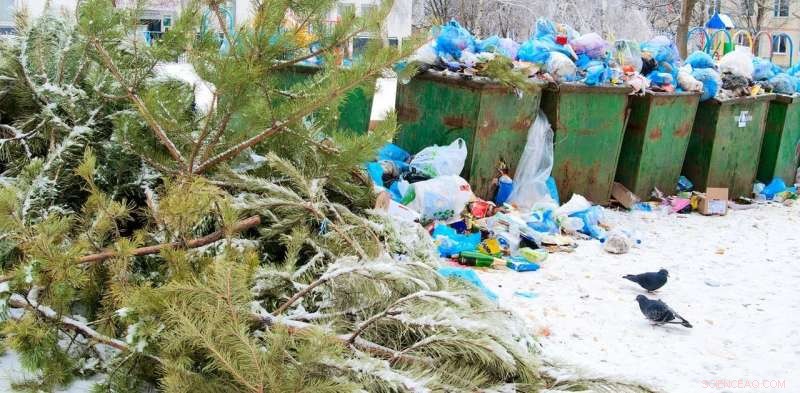 Reduce Holiday Waste: Sustainable Redesign Strategies for the Season