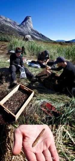 Greenland Fjords at Risk: Coastal Erosion Threatens Historic Archaeological Sites