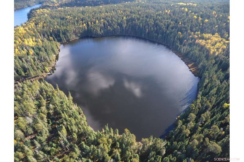 Lowering Lake Nitrogen Levels Shows Limited Effect on Algal Blooms