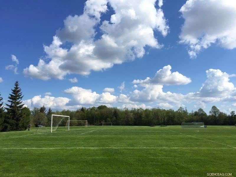 How Turbulence Shapes Spectral Broadening in Clouds
