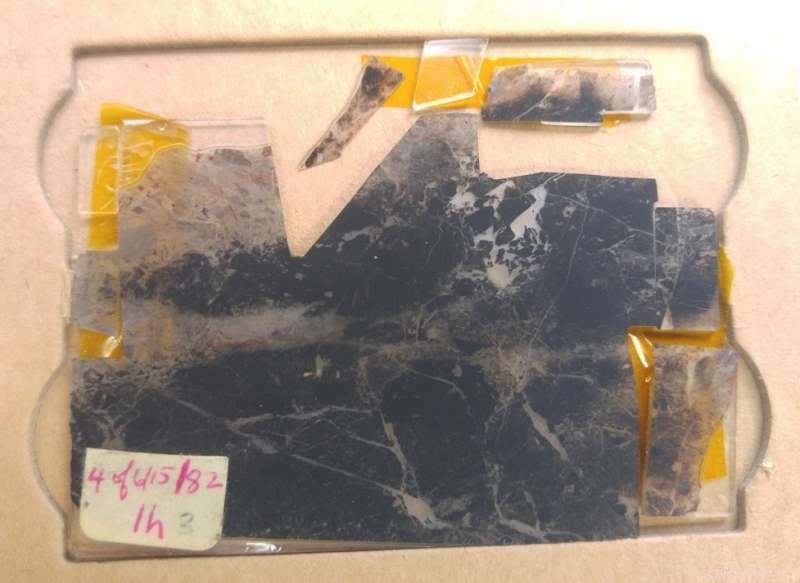 Ancient Fossils Reveal Life Originated on Earth Over 3.5 Billion Years Ago