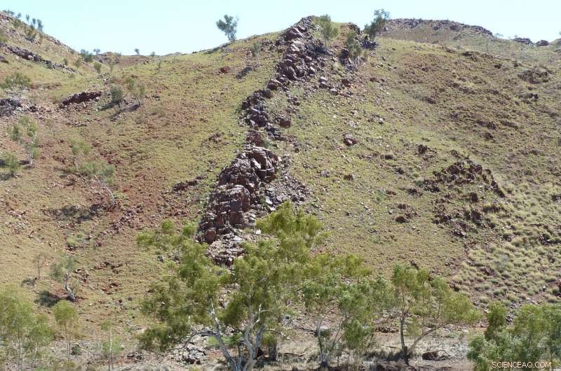 Ancient Fossils Reveal Life Originated on Earth Over 3.5 Billion Years Ago