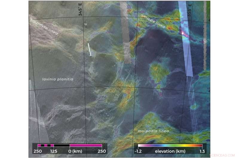 Lava-Filled Tectonic Blocks on Venus Reveal Ongoing Geologic Activity