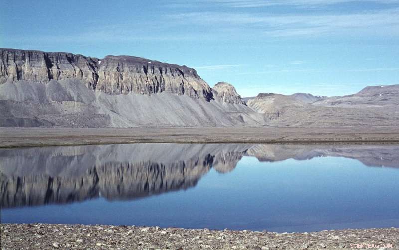 Revealing Hidden Diversity of 500-Million-Year-Old Microscopic Animal Fossils in Greenland