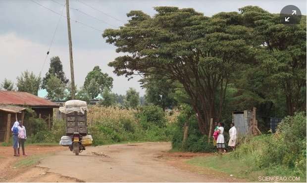 Kenyan Farmers Ready to Scale Croton Nut Production for Sustainable Biofuel