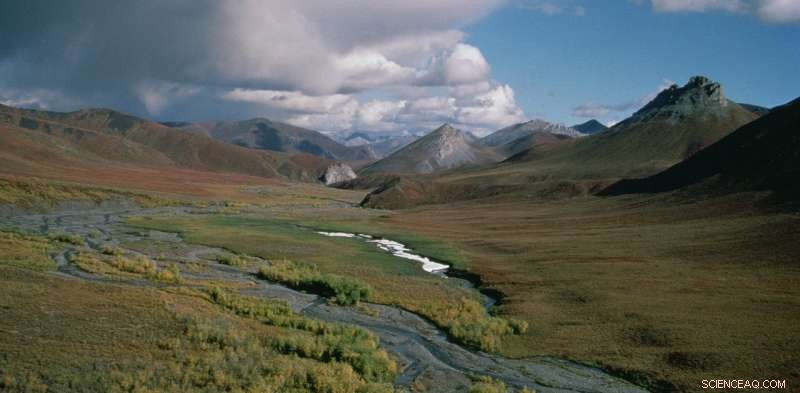 Why Americans Are Divided Over Oil Drilling in the Arctic National Wildlife Refuge