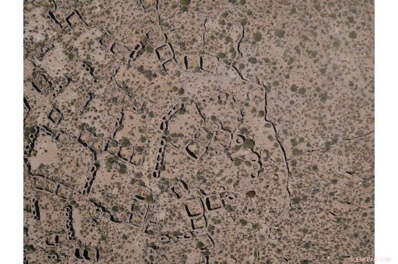 Unexpected Agricultural Innovations Powered Pre-Hispanic Prosperity in the Arid Andes