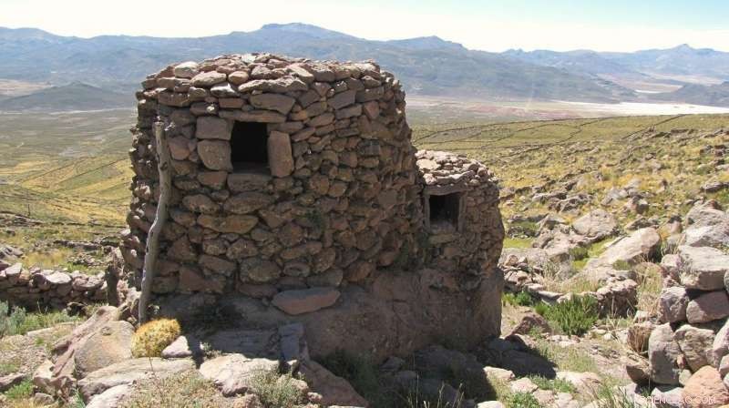 Unexpected Agricultural Innovations Powered Pre-Hispanic Prosperity in the Arid Andes