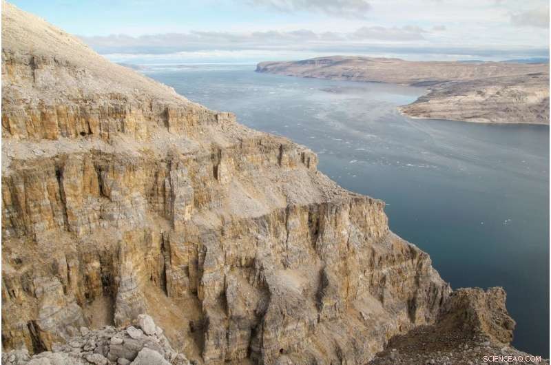 1.25 Billion Years Ago: Tracing the Origins of Plant Photosynthesis