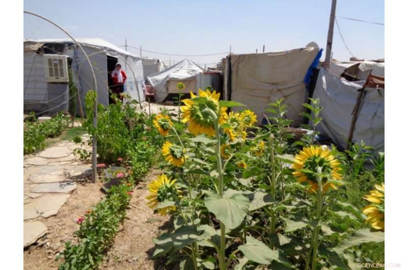 Improving Drainage in Slums & Refugee Camps: A Critical Step to Save Lives