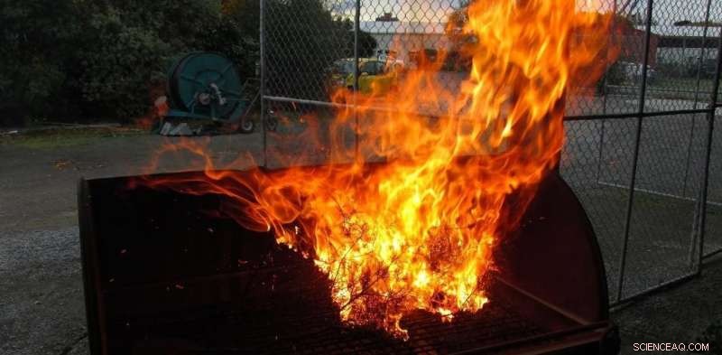 Invasive Weeds Amplify Wildfire Intensity and Frequency