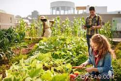 Food Sharing: Cutting Waste and Powering Urban Sustainability