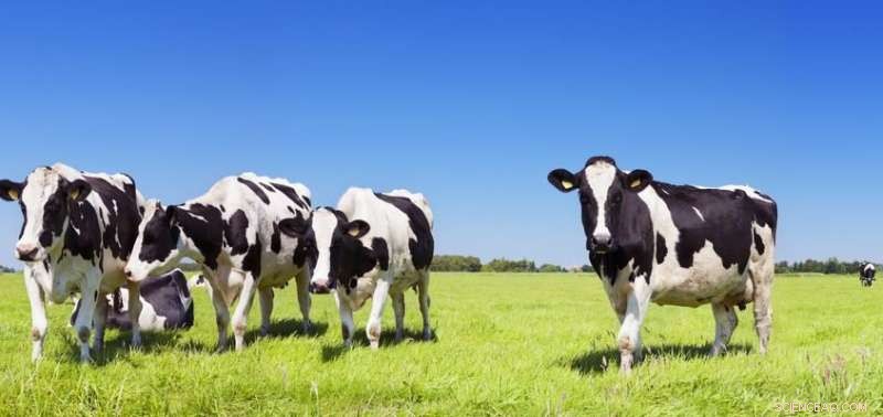 Revealed: Human Impact on Forests and Grasslands Extends Further Back in Time Than Previously Thought