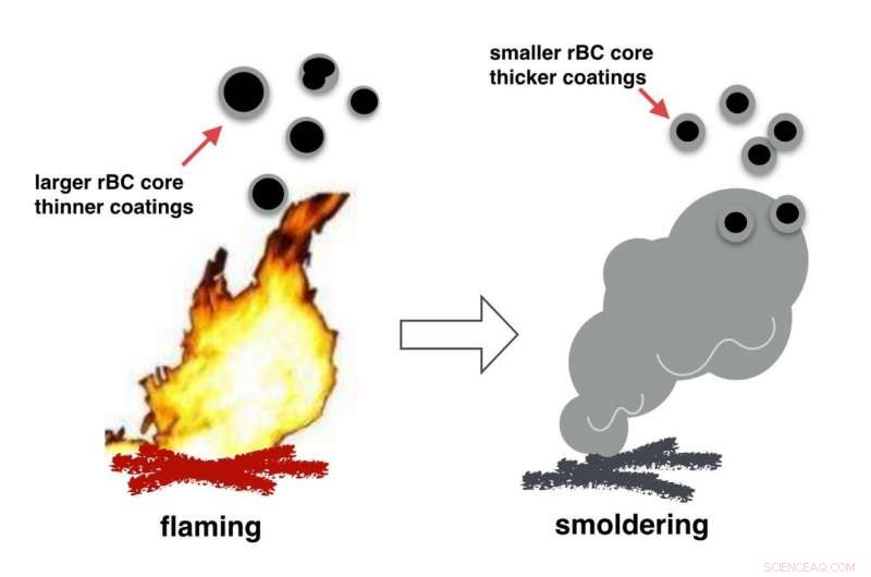 Refractory Black Carbon Emissions from Fresh Biomass Combustion: Key Characteristics
