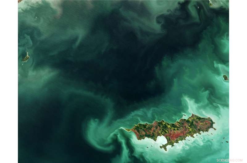 Reindeer Island, Manitoba: A Satellite View of Lake Winnipeg