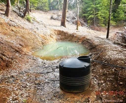 California Legal Marijuana Faces Strict Environmental Regulations