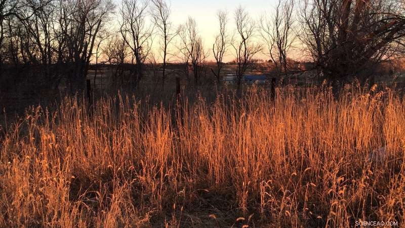 NASA Study Finds Wet Winters May Not Dampen Small Wildfires