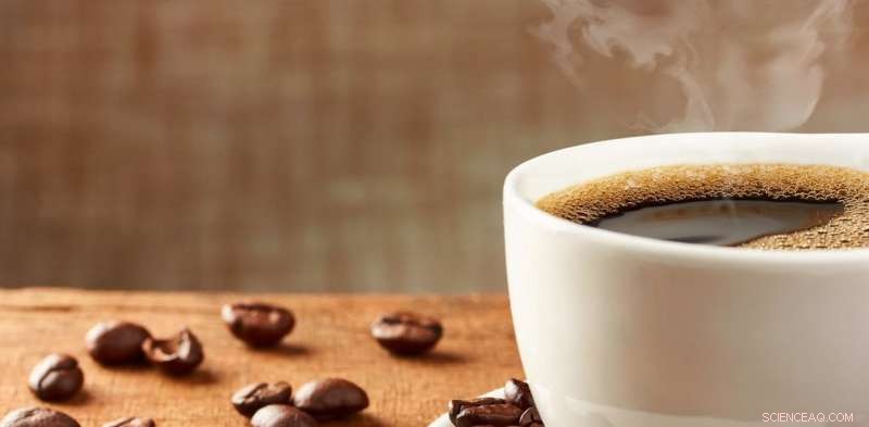 Climate Change Threatens the Global Coffee Industry