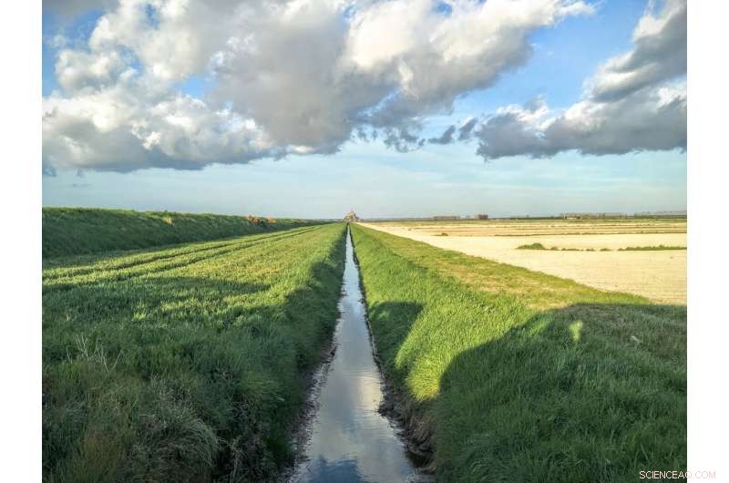 Streams as Vital Environmental Sensors: New Insights from Michigan State Research