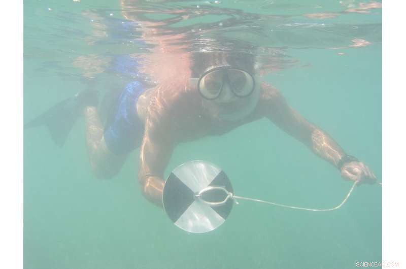 Caribbean Ecosystems Under Growing Environmental Pressure