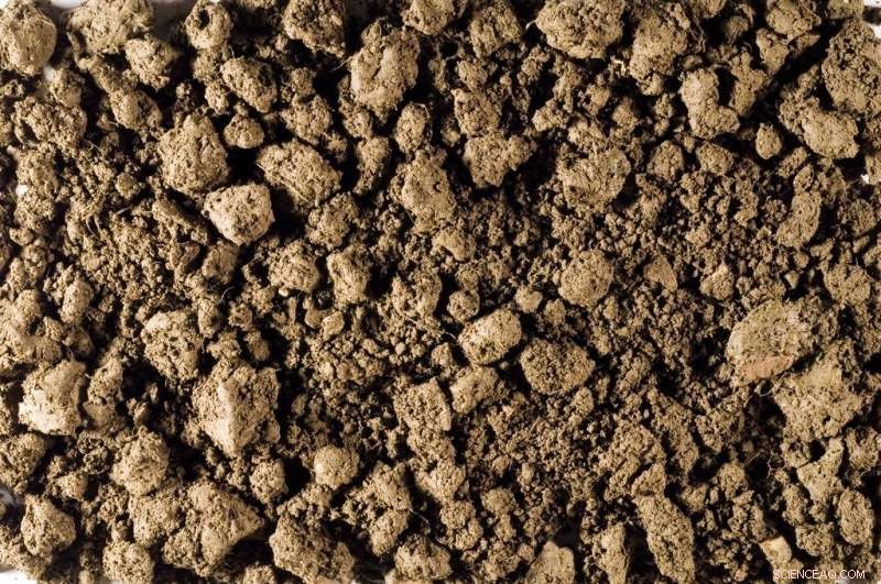 The Silent Health Threat: How Micronutrient Deficiencies Endanger Communities