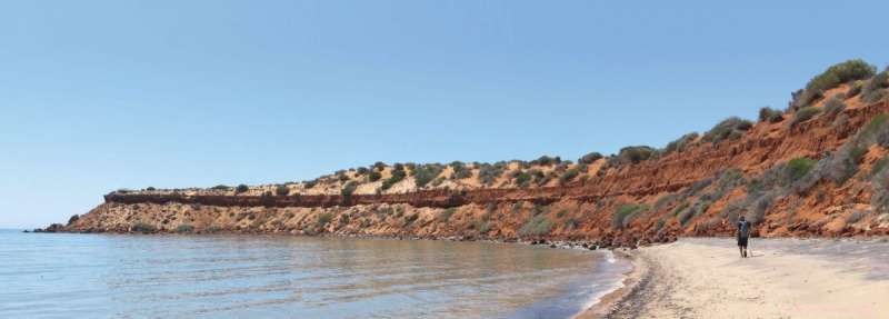 Nature s SOS: How Long‑Term Research and Extreme Events Reveal Survival Strategies