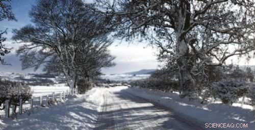 Arctic Warming and Its Impact on Extreme Weather in the UK