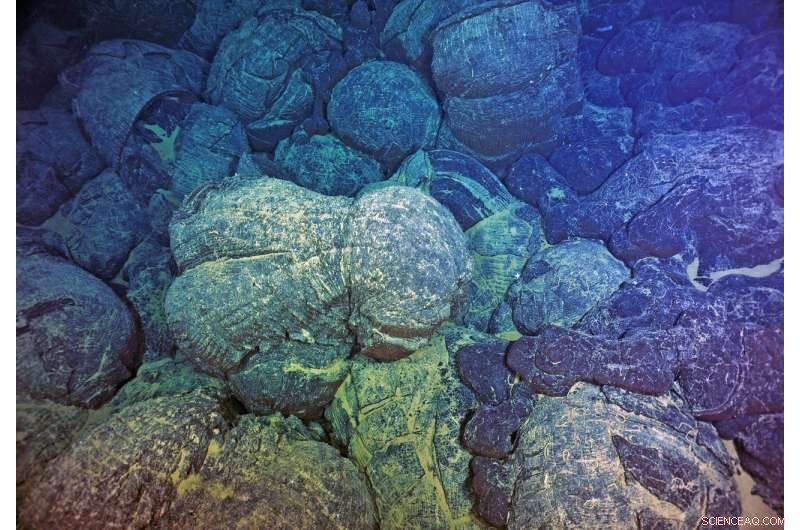 Did Complex Life Emerge Before or After the Rise of Atmospheric Oxygen?