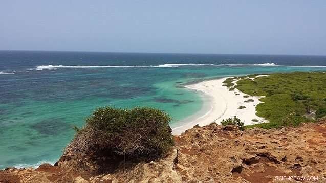 Where Will Climate Change‑Displaced Millions Go? Key Destinations and Challenges